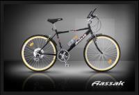 دوچرخه کوهستان