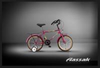 دوچرخه بچگانه سندباد