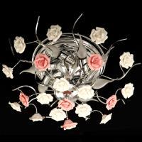 لوستر رز عالیجناب